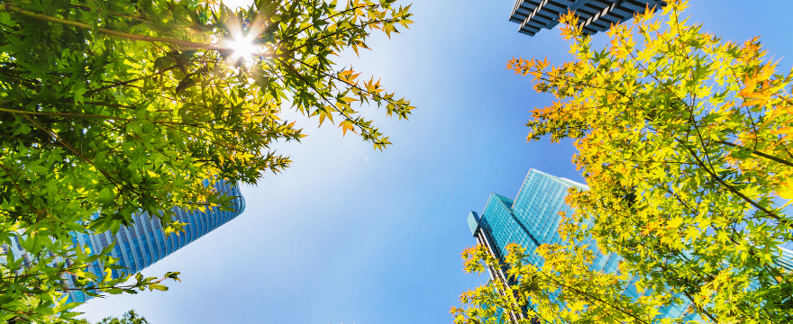 Structural Engineers and Embodied Carbon