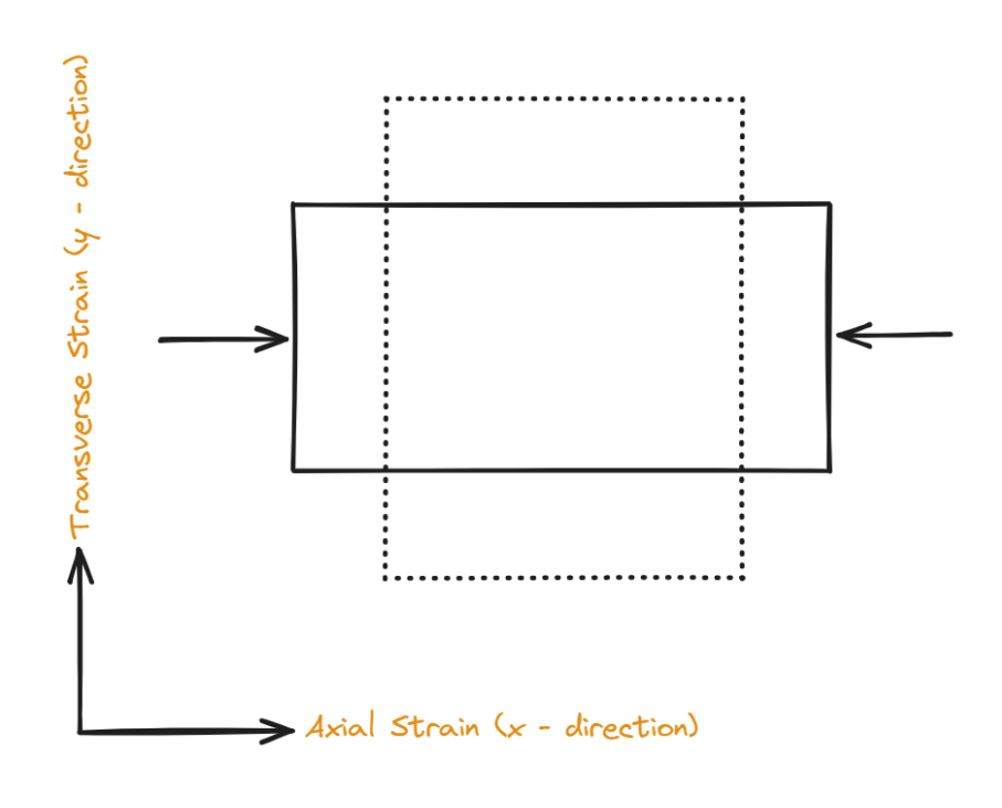 Stammbeziehung Strain Relationship